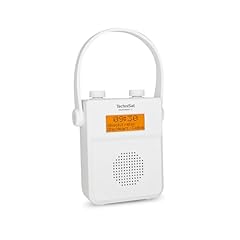 Technisat digitradio radio usato  Spedito ovunque in Italia 