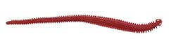 Berkley gulp alive for sale  Delivered anywhere in UK