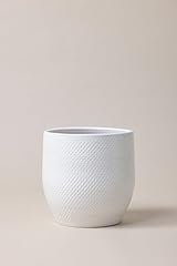 Plantpatio vaso per usato  Spedito ovunque in Italia 