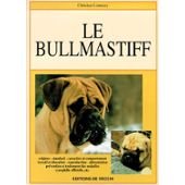 Bullmastiff d'occasion  Livré partout en Belgiqu