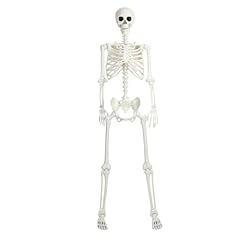 Halloween skelett ganzkörper gebraucht kaufen  Wird an jeden Ort in Deutschland