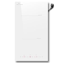 Deliteer plaque induction d'occasion  Livré partout en France