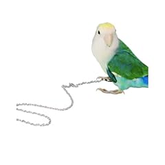 Bird foot chain for sale  Delivered anywhere in USA 