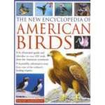 New encyclopedia american for sale  Delivered anywhere in USA 