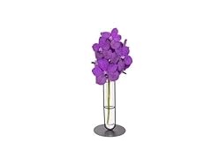 Vanda vazenda orchidea usato  Spedito ovunque in Italia 