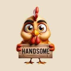 Handsome rooster for sale  Delivered anywhere in USA 