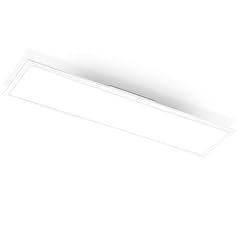 Briloner led deckenlampe gebraucht kaufen  Wird an jeden Ort in Deutschland