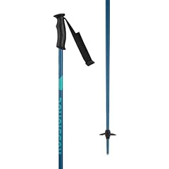 Rossignol baton sci usato  Spedito ovunque in Italia 