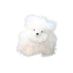Alpacaone teddybär premium gebraucht kaufen  Wird an jeden Ort in Deutschland