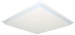 Lithonia lighting d2sbddrop2 for sale  Delivered anywhere in USA 