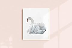 Swan art print for sale  Delivered anywhere in Canada