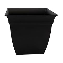 Companies eclipse square for sale  Delivered anywhere in USA 
