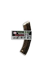 Scottish deer antler for sale  Delivered anywhere in UK