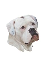 American bulldog notebook. for sale  Delivered anywhere in UK