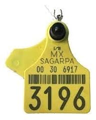 Nuestratradicionmex cattle tag for sale  Delivered anywhere in USA 