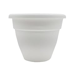 Companies caribbean planter for sale  Delivered anywhere in USA 
