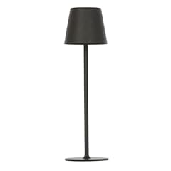 Light professional lampada usato  Spedito ovunque in Italia 