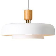 Modern large pendant for sale  Delivered anywhere in USA 