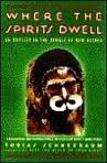 Spirits dwell odyssey for sale  Delivered anywhere in USA 