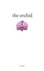 Orchid for sale  Delivered anywhere in USA 