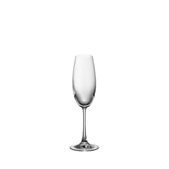 Champagner 225mm divino gebraucht kaufen  Wird an jeden Ort in Deutschland