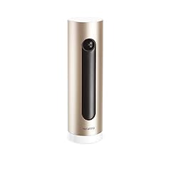 Netatmo caméra surveillance d'occasion  Livré partout en France