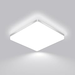 Comely lampada soffitto usato  Spedito ovunque in Italia 
