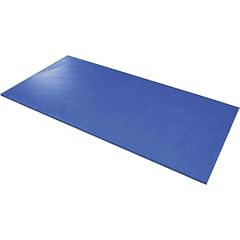 Airex hercules gymnastikmatte gebraucht kaufen  Wird an jeden Ort in Deutschland