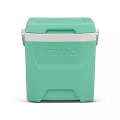 Igloos cooler hard for sale  Delivered anywhere in USA 