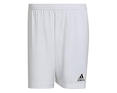 Adidas entrada shorts usato  Spedito ovunque in Italia 