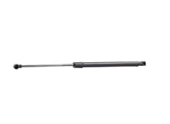 Ridex 219g0731 ammortizatore usato  Spedito ovunque in Italia 