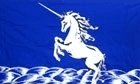 5ft 3ft unicorn for sale  Delivered anywhere in UK