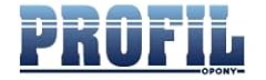 Profil 205 55r16 usato  Spedito ovunque in Italia 