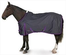 Gallop trojan lite for sale  Delivered anywhere in UK