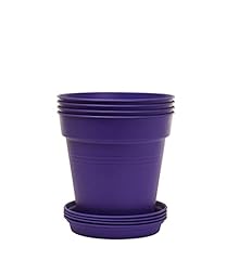 Mintra home garden for sale  Delivered anywhere in USA 
