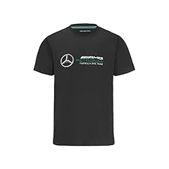 Mercedes amg petronas gebraucht kaufen  Wird an jeden Ort in Deutschland