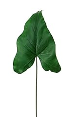 Artplants deko blatt gebraucht kaufen  Wird an jeden Ort in Deutschland