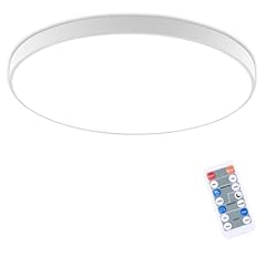 Raymin led deckenlampe gebraucht kaufen  Wird an jeden Ort in Deutschland