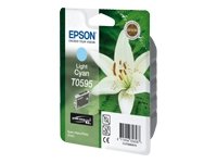 Epson t059540 stylus usato  Spedito ovunque in Italia 