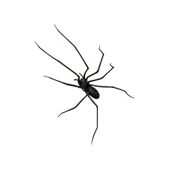 Spinnenmagnete realistischer k gebraucht kaufen  Wird an jeden Ort in Deutschland