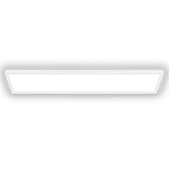 Briloner led deckenleuchte gebraucht kaufen  Wird an jeden Ort in Deutschland