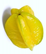 Star fruit averrhoa for sale  Delivered anywhere in USA 