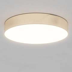 Lqwell lampada soffitto usato  Spedito ovunque in Italia 