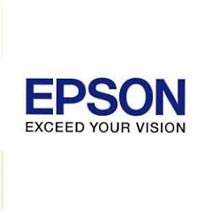 Epson unità fronte usato  Spedito ovunque in Italia 