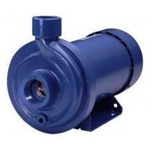 Goulds 100mc1d1d0 centrifugal for sale  Delivered anywhere in USA 