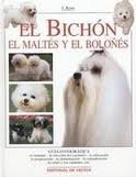 Bichón d'occasion  Livré partout en France