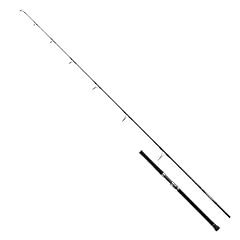 Daiwa canne saltiga d'occasion  Livré partout en France