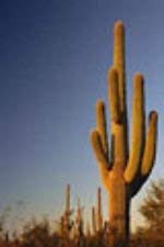 Carnegia gigantea saguaro usato  Spedito ovunque in Italia 