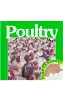 Poultry for sale  Delivered anywhere in USA 