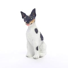 Rat terrier miniature for sale  Delivered anywhere in USA 